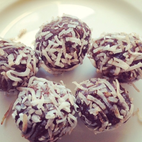 Protein Bliss Balls