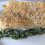 Spinach Pie
